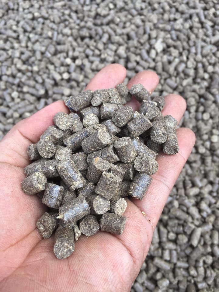 Fermented Bagasse Pellets